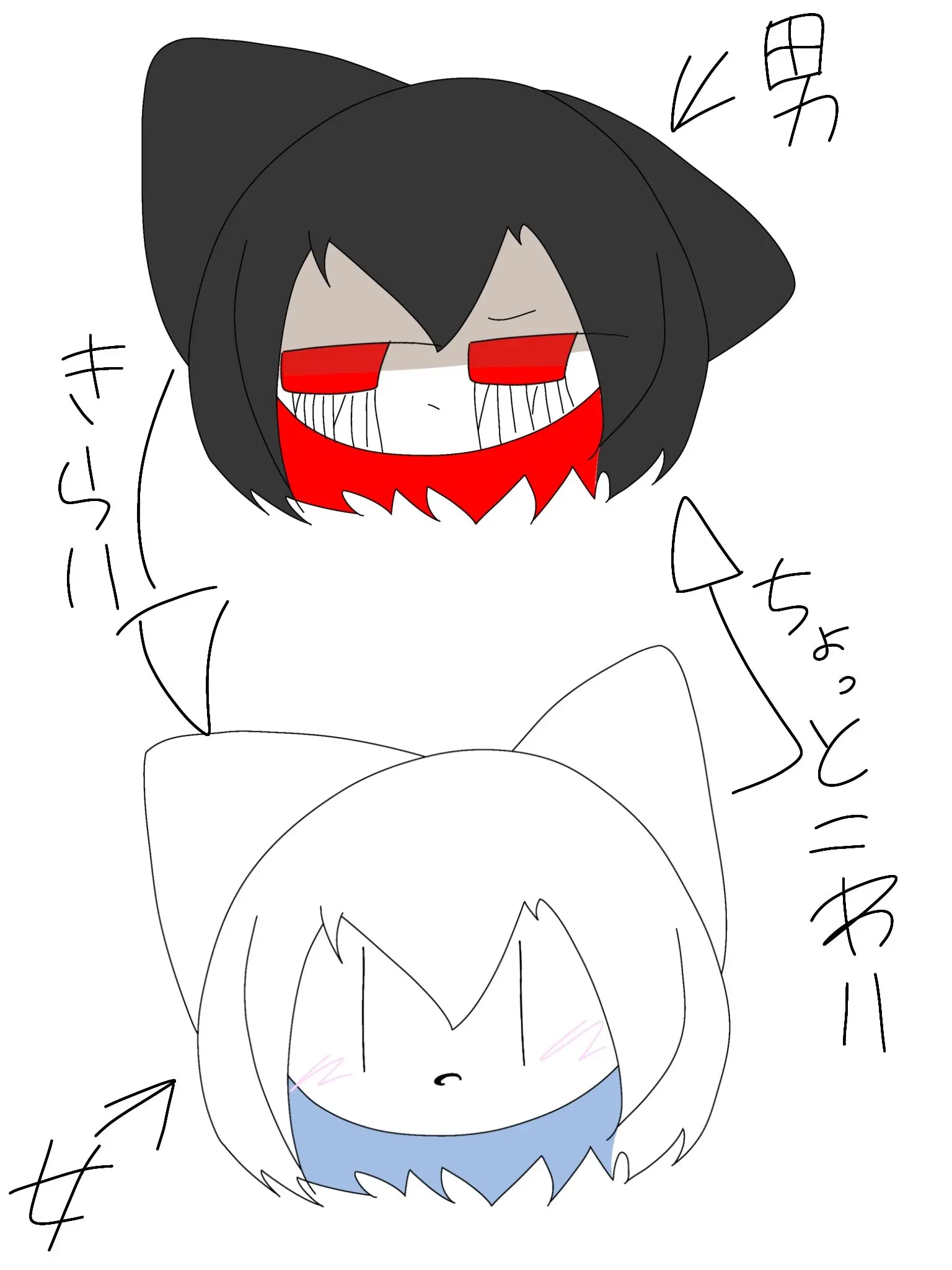 CattyShark2931의 雪丸と夏丸と黒丸達