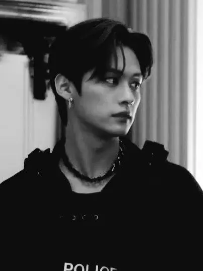 OutlawCoral8831의 Straykids Mafia Au