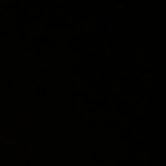 김동현