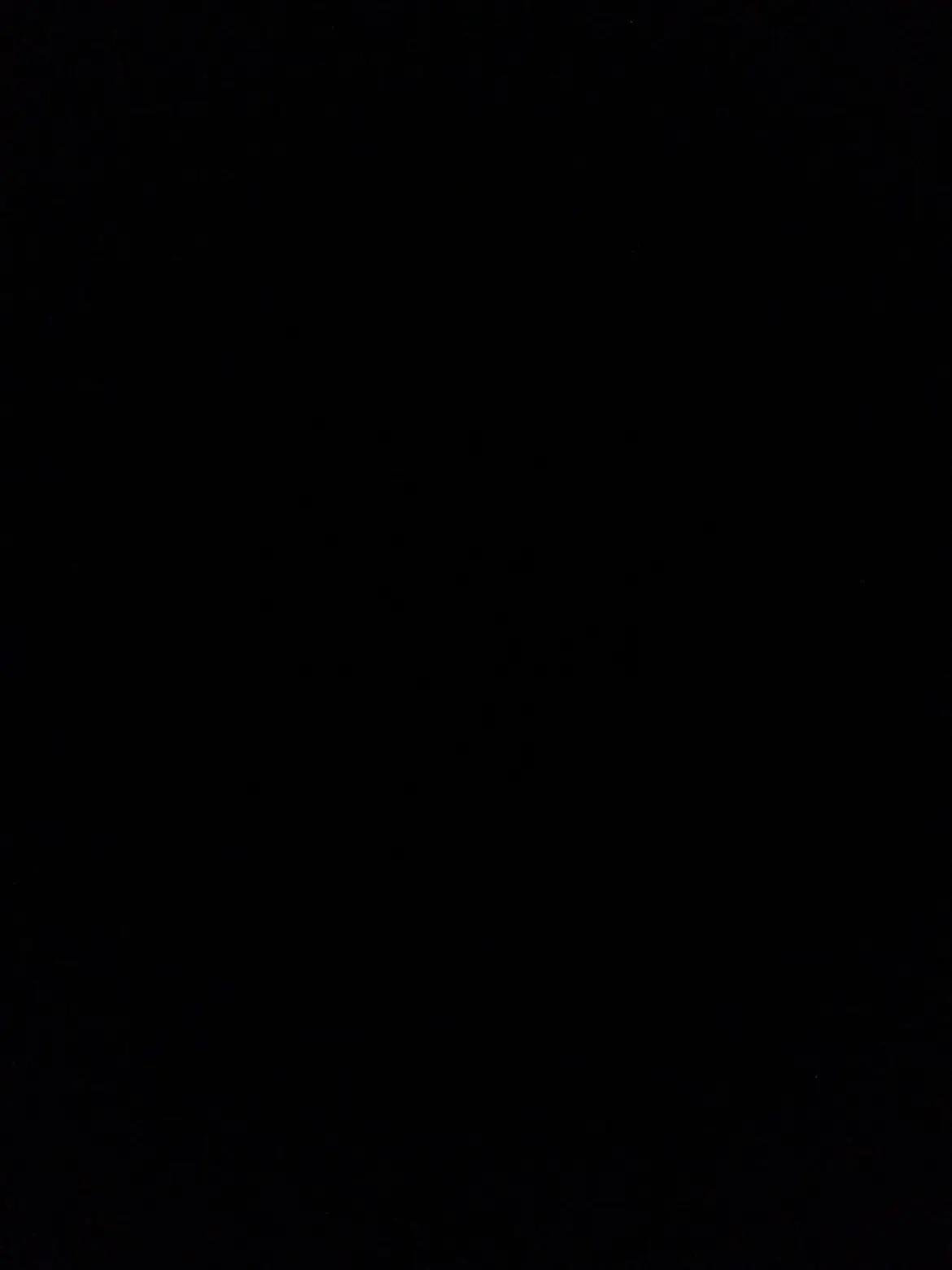 riwteasan_의 T