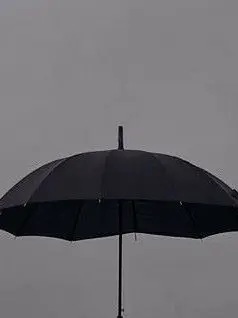 WindyMole9043의 あなたの安全が最優先です。