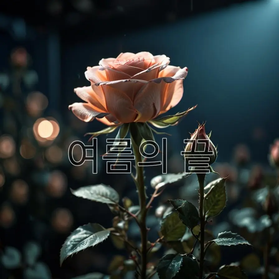 Orangecat7의 여름의 끝