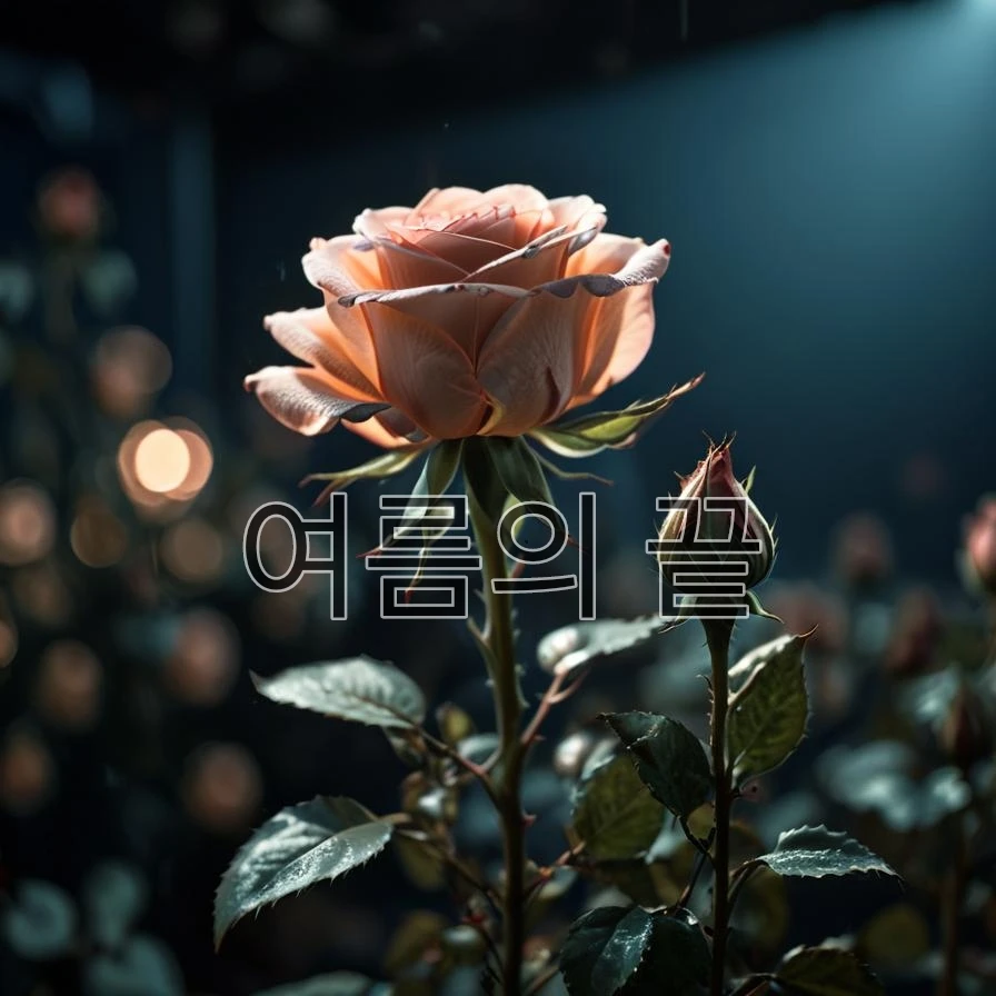 여름의 끝