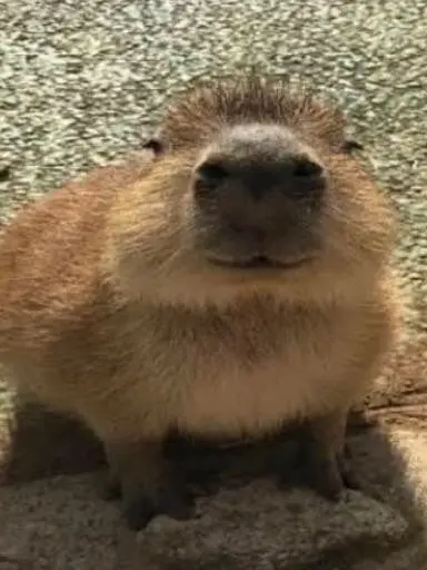 stranger_y의 [ 계약 ]