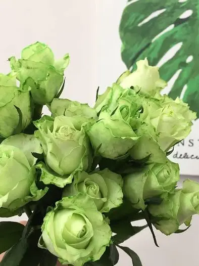 MusclyFocus9853의 언더웹_  공룡 🐊 [2차 창작물]