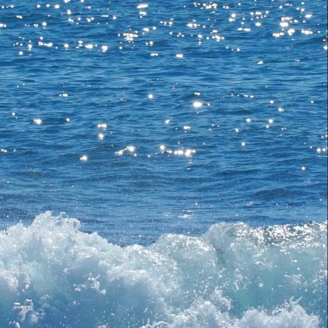 Creamy00327의 미스터리 수사반