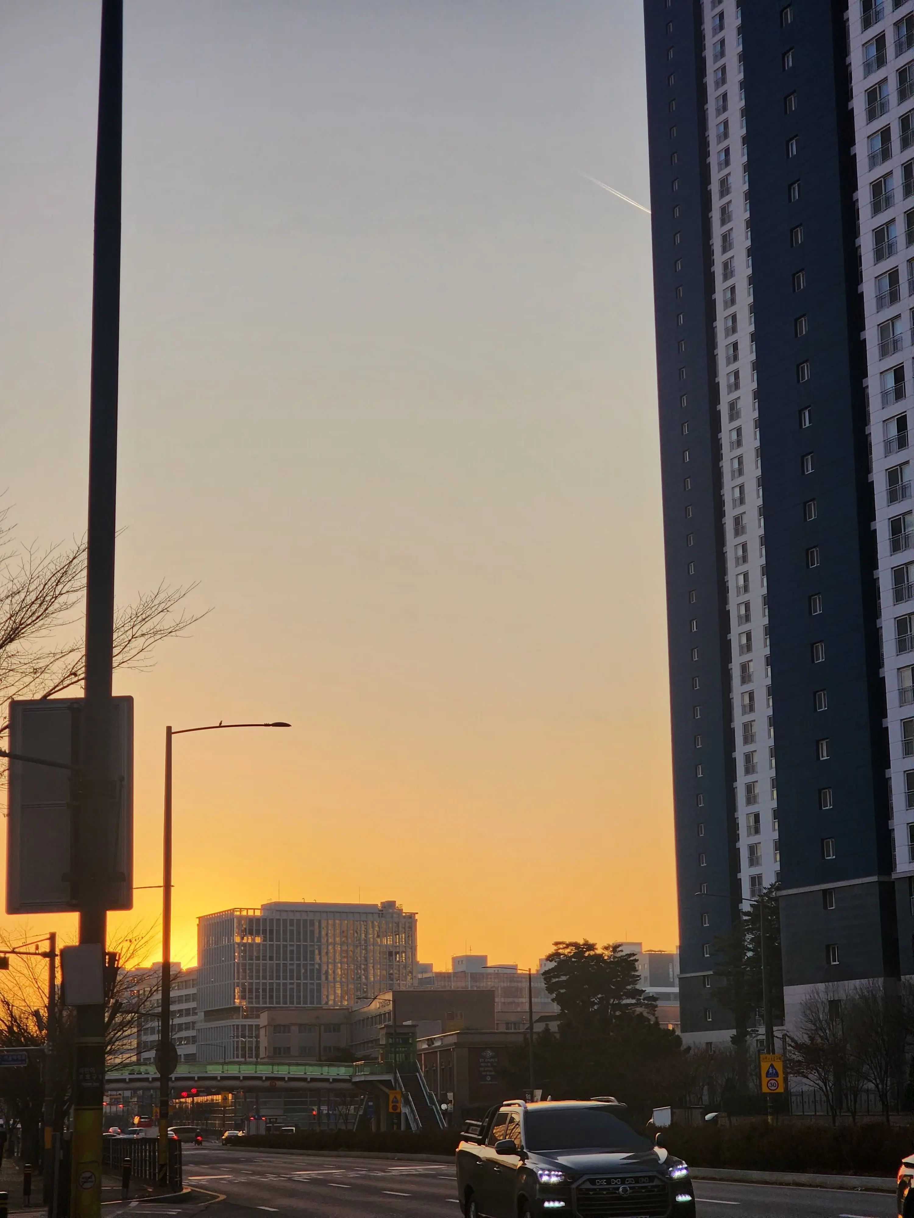 PointyKagu0432의 염라강림