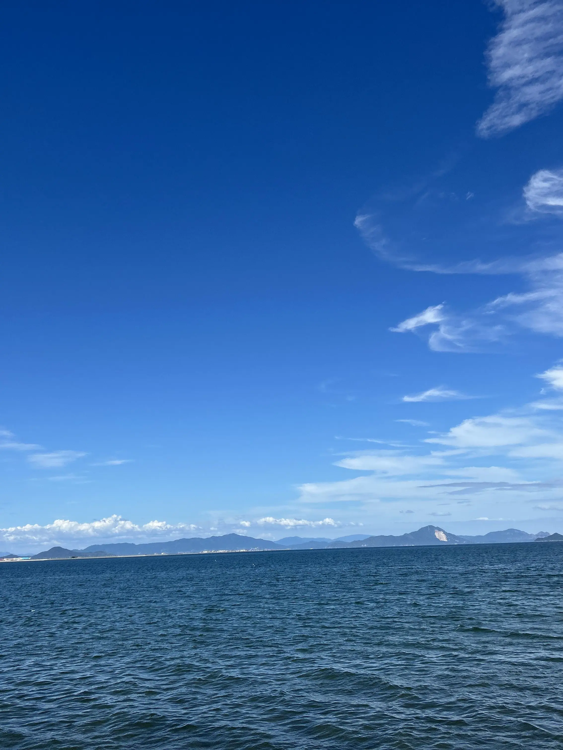 VainChart1968의 仲良し家族2