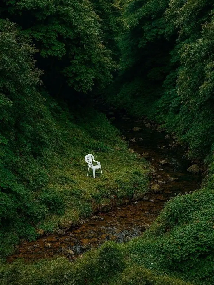 Franzz의 비밀의 화원