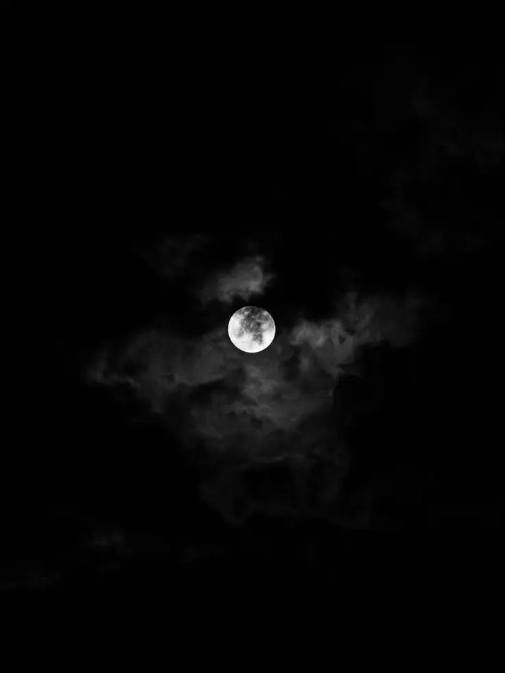 RQD1081의 유성파