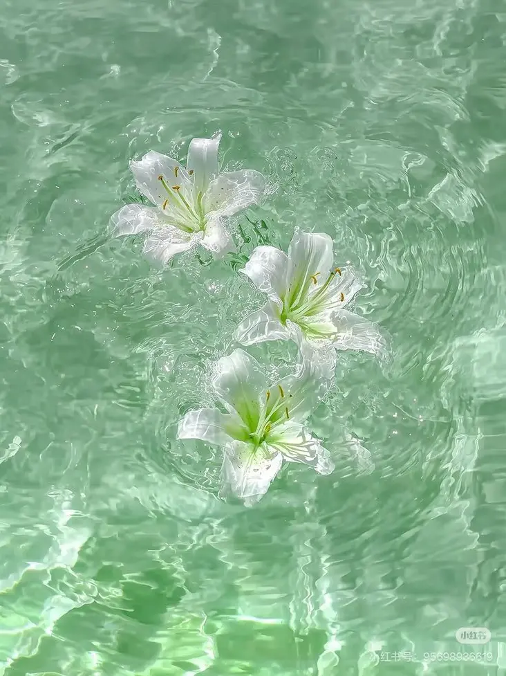 general_public의 푸르던 하늘 아래 우리는.