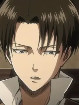 BitingAkita4344의 今日リヴァイ班になります！