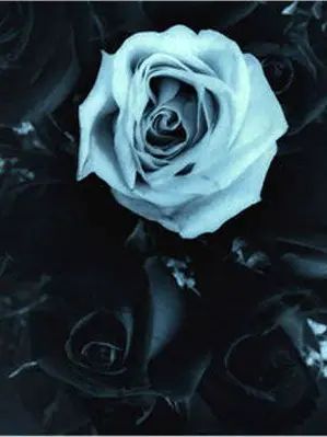 YIRE1101의 인간코스프레