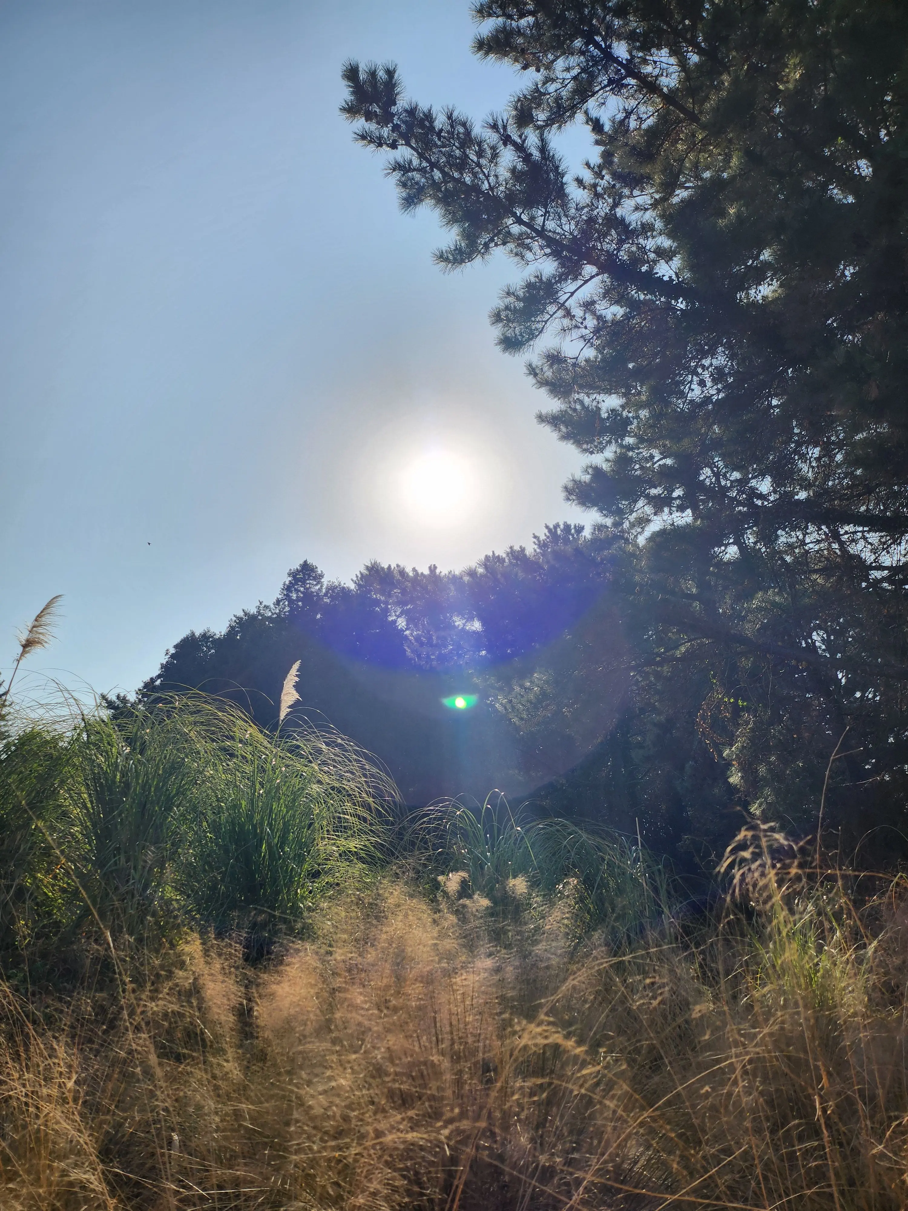 Dreamy_love의 덕개와 수영장인데요.. 망했습니다.