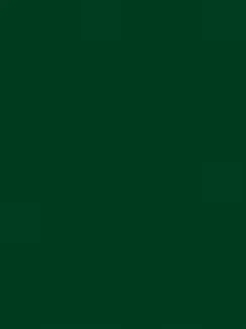 SilverCello8806의 Where Memories Play