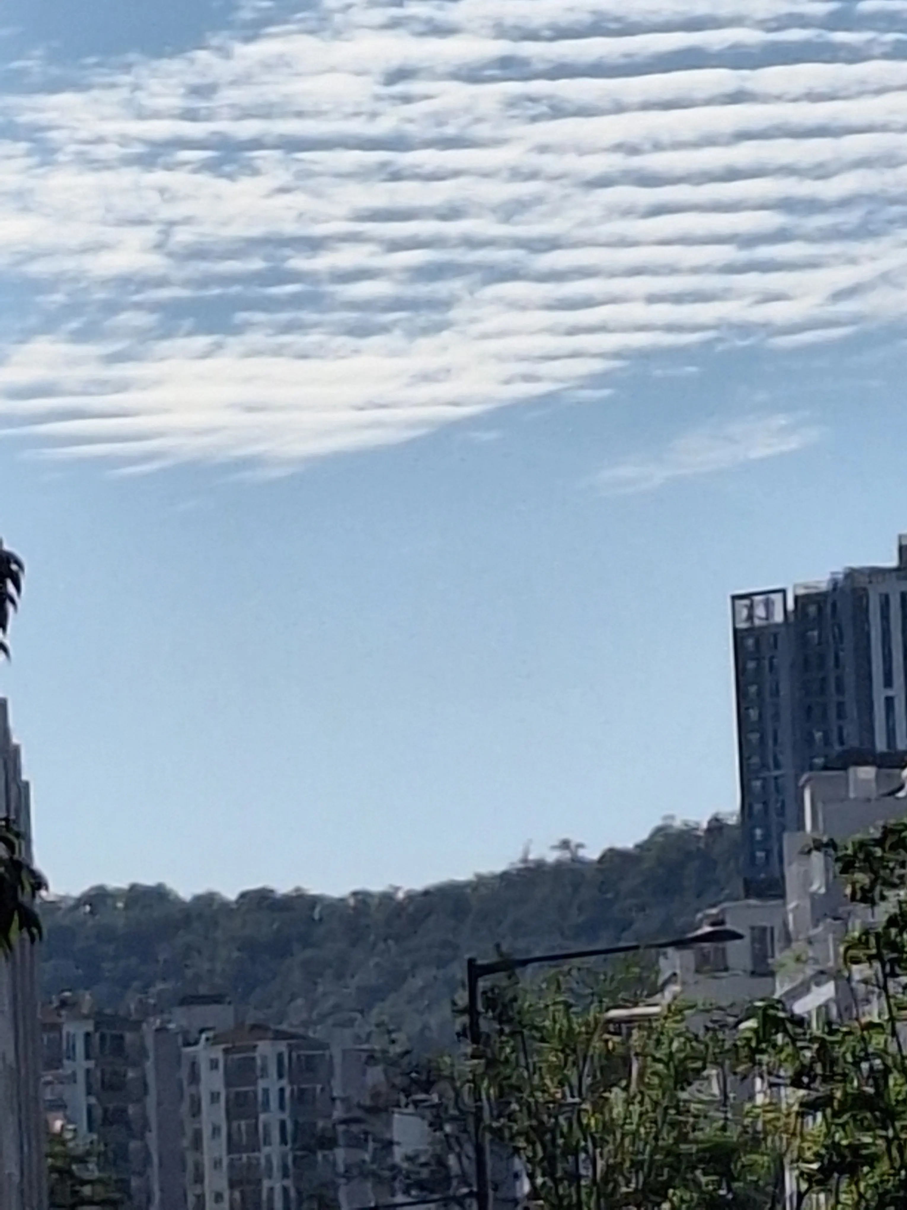 DampRupee6644의 갠용