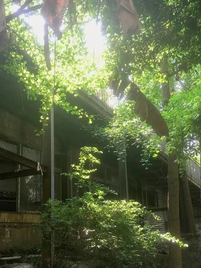 luvy0u의 여름이었다