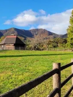 FunnyLinen2650의 人間牧場へようこそ