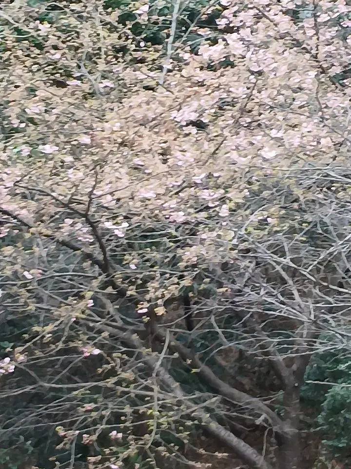 CuteFly6098의 本当に偶然ですか？