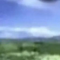 Geui_31의 개인용