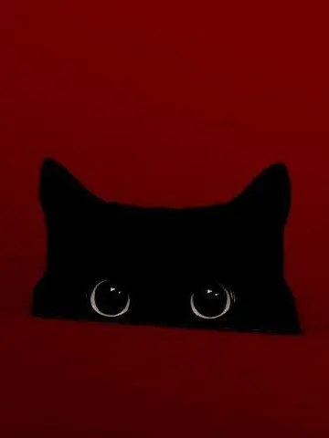 natsukilove722의 수인 이런건 소설속에서나...