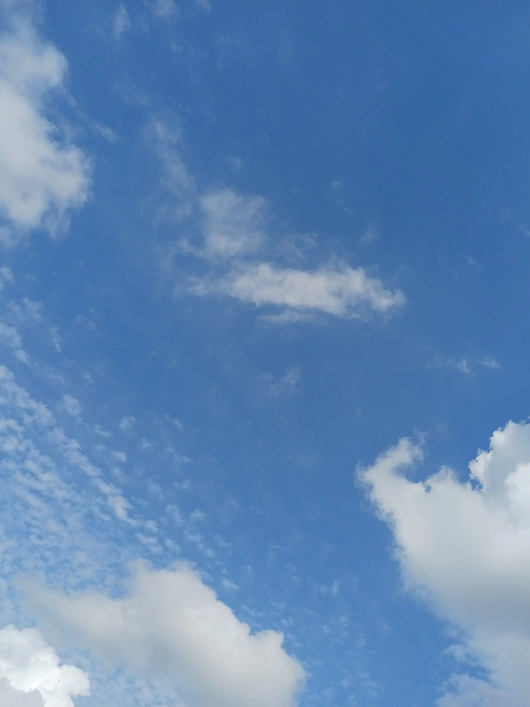 FatalDingo5798의 문 부서지겠어요 뱀파이어님들!