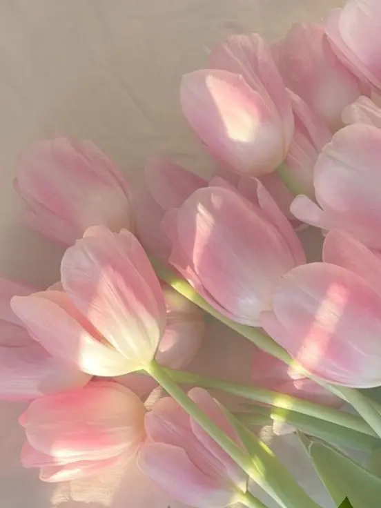 M1x.yu의 주술회전