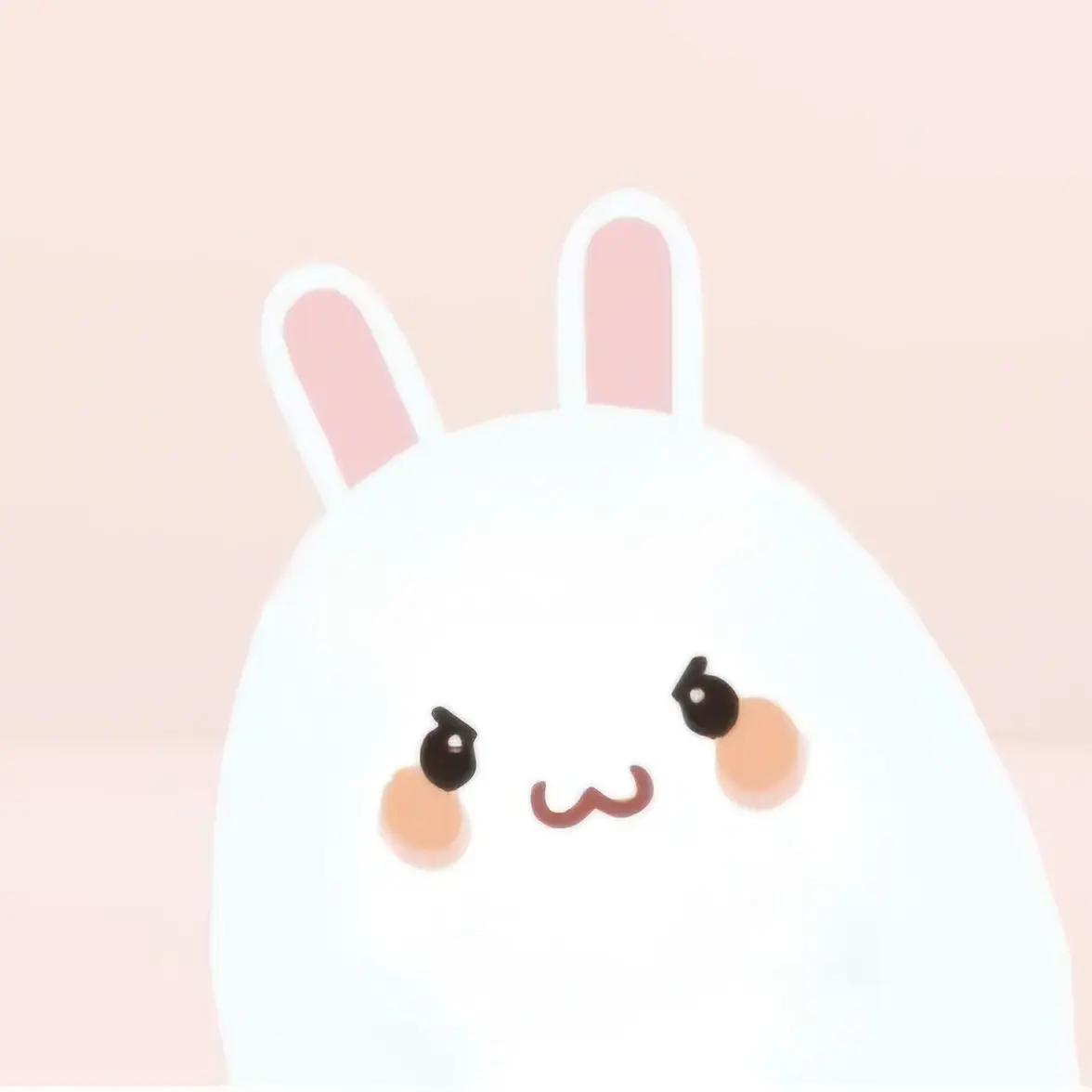Tokki_o3o의 흰토끼랑 놀자!