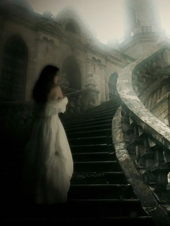 StingyHill0644의 기사님.