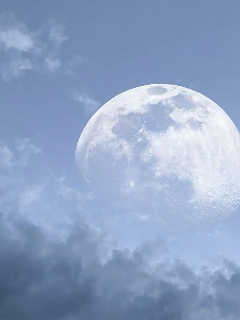 Pome_ranian의 userはせめよんのペット