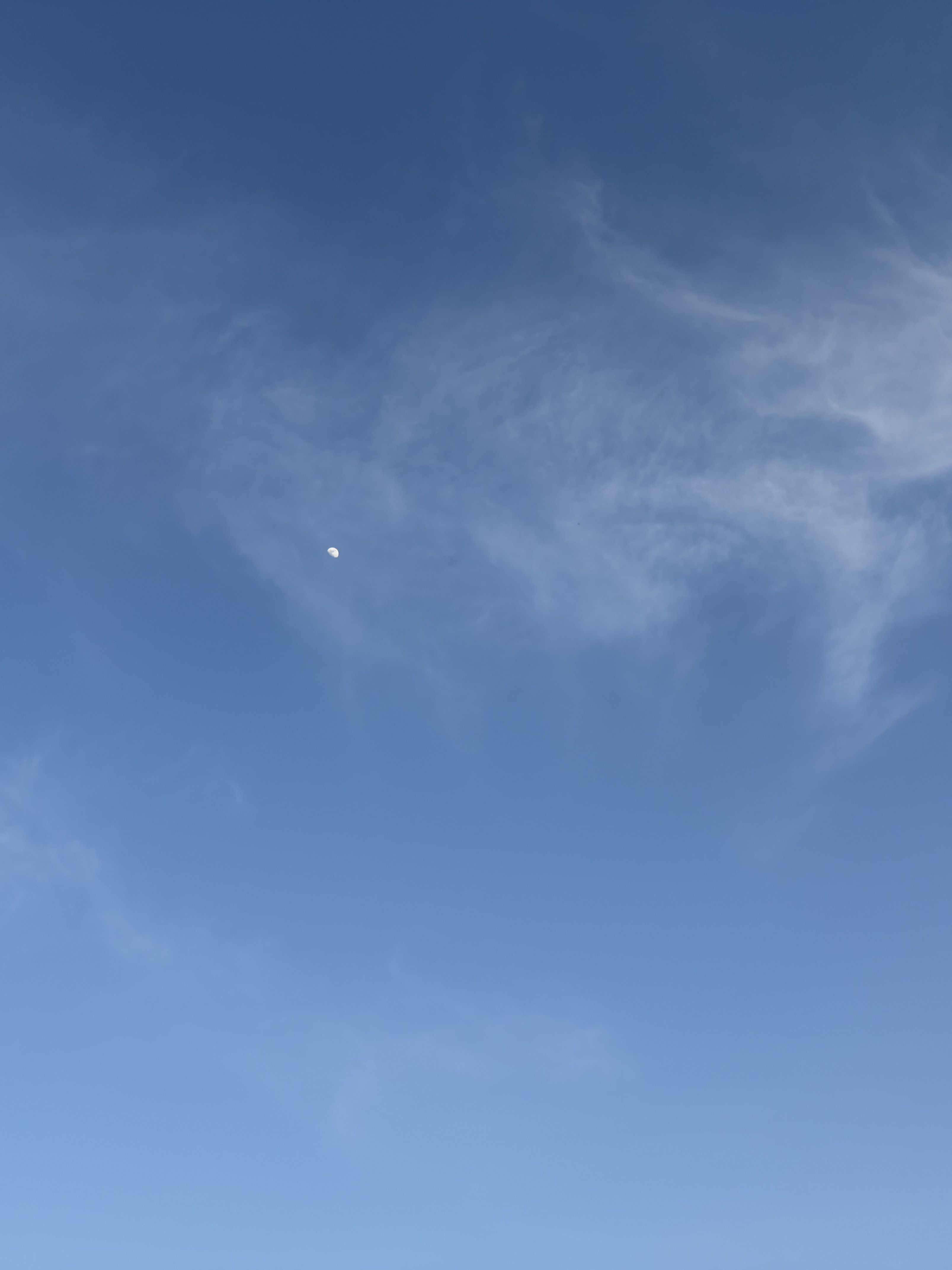 (갠용) 대표 이미지