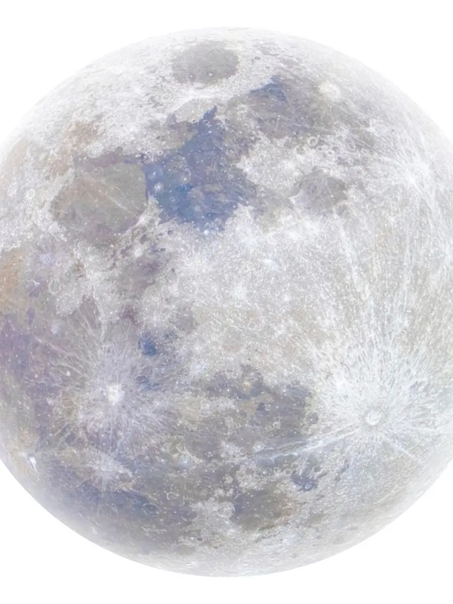 SUSU_SUSU의 달나라엔 옥토끼