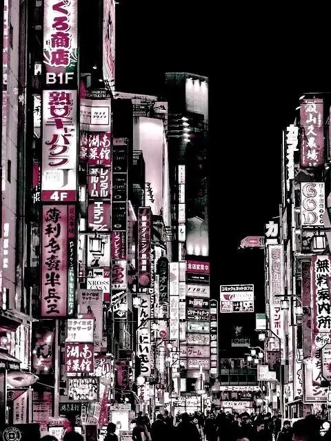 zcxxwe의 블루록.