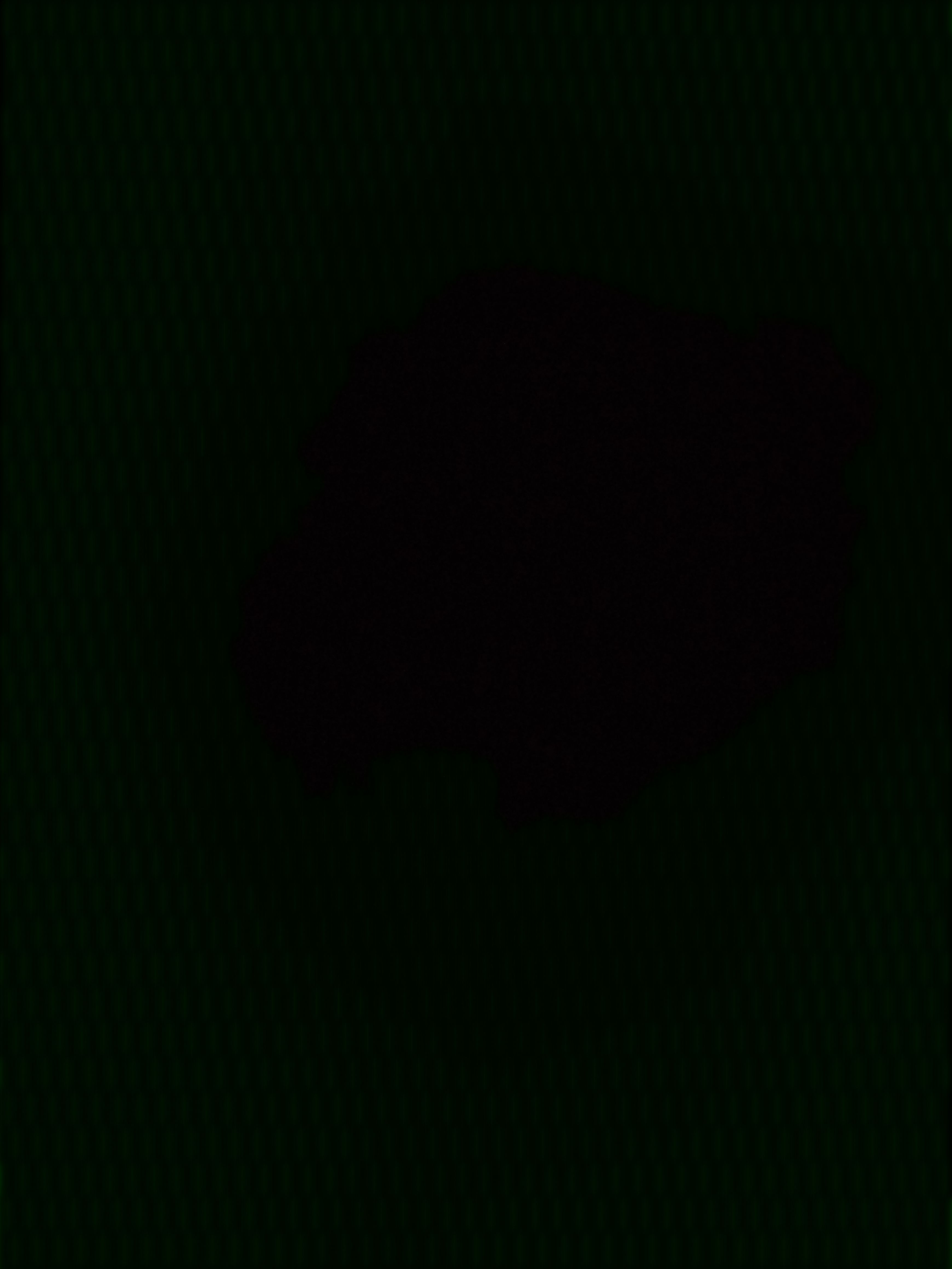 0107 대표 이미지