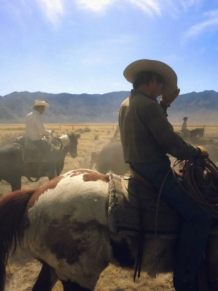PainedKishu9100의 Road Runner Ranch TWO