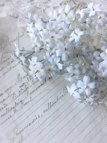 GiddySkin4993의 精神病棟