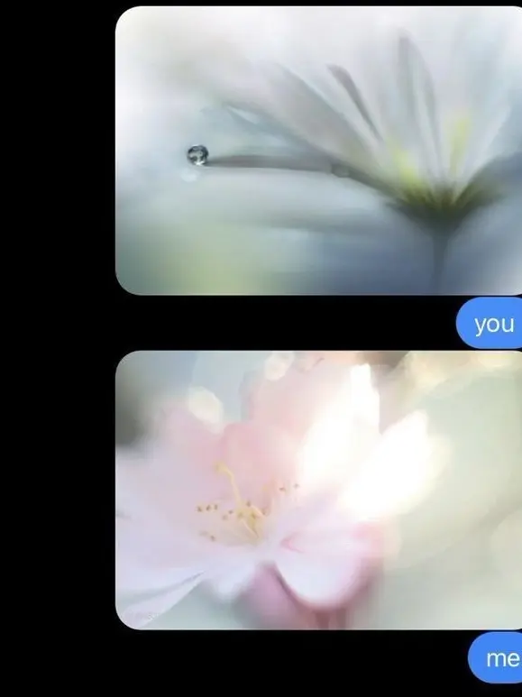 xerox의 愛 이란 미궁 속 어항