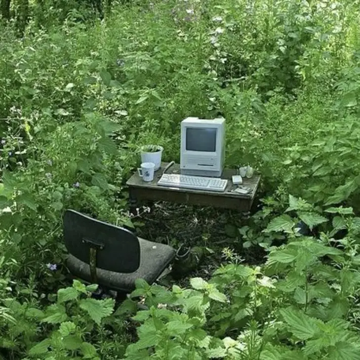 Not_my_fault의 문약한 '물리'학자의