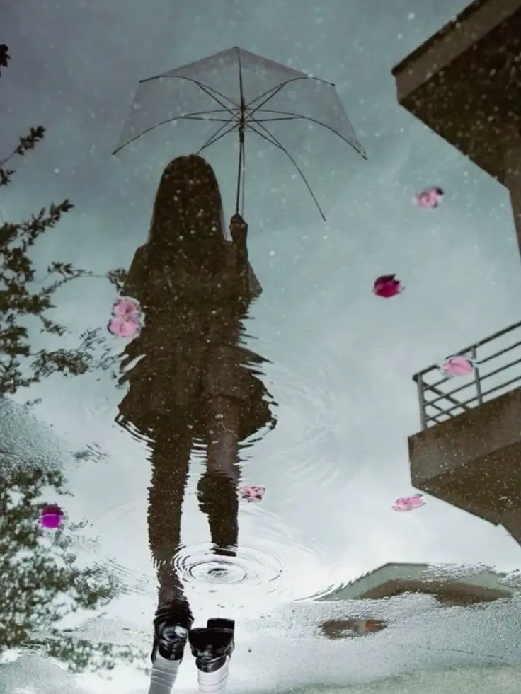 Cuteeee의 개인용.문스독 정부