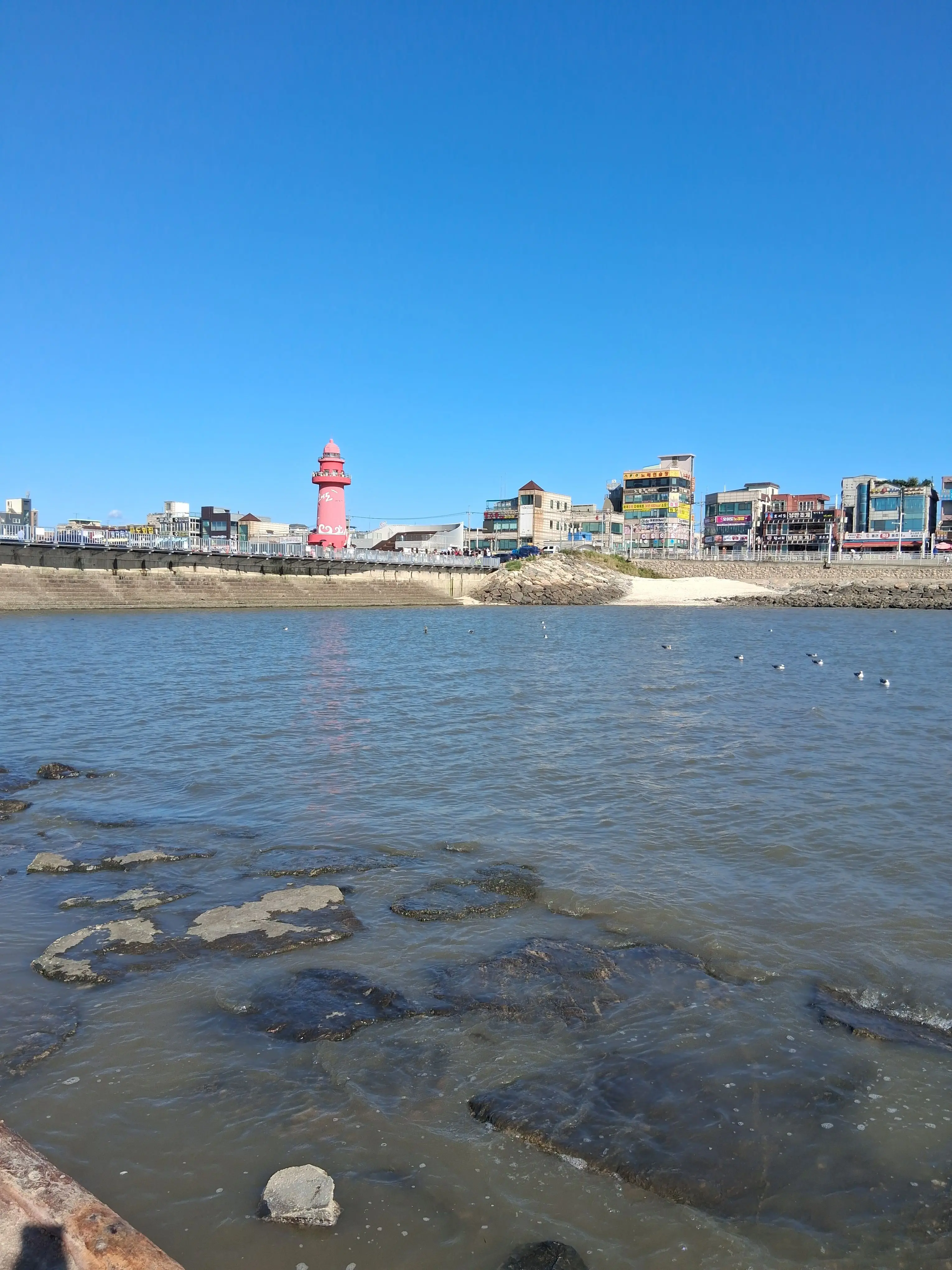 gsr2012years의 로블록스 유튜버 (동거)