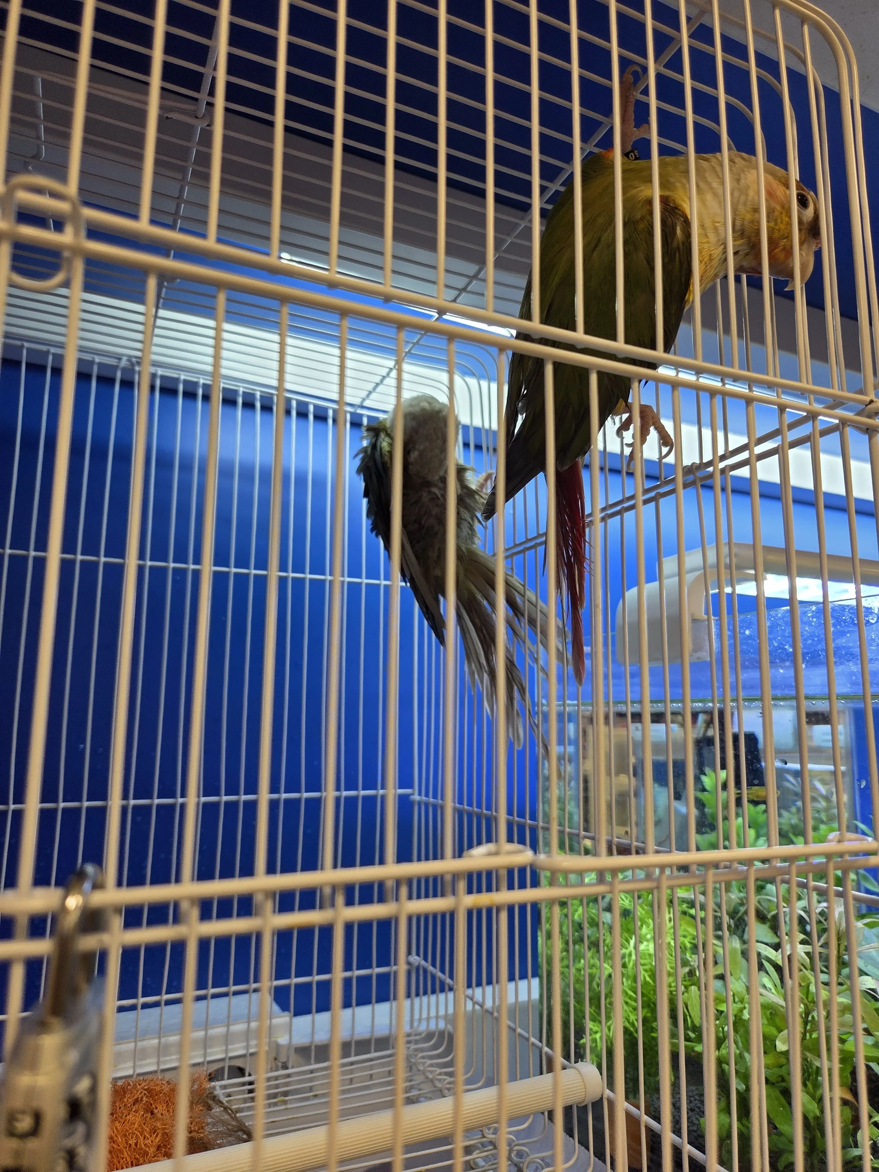 ClumsyHeart6157의 ㅗㅗ