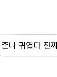 백지헌 대표 이미지