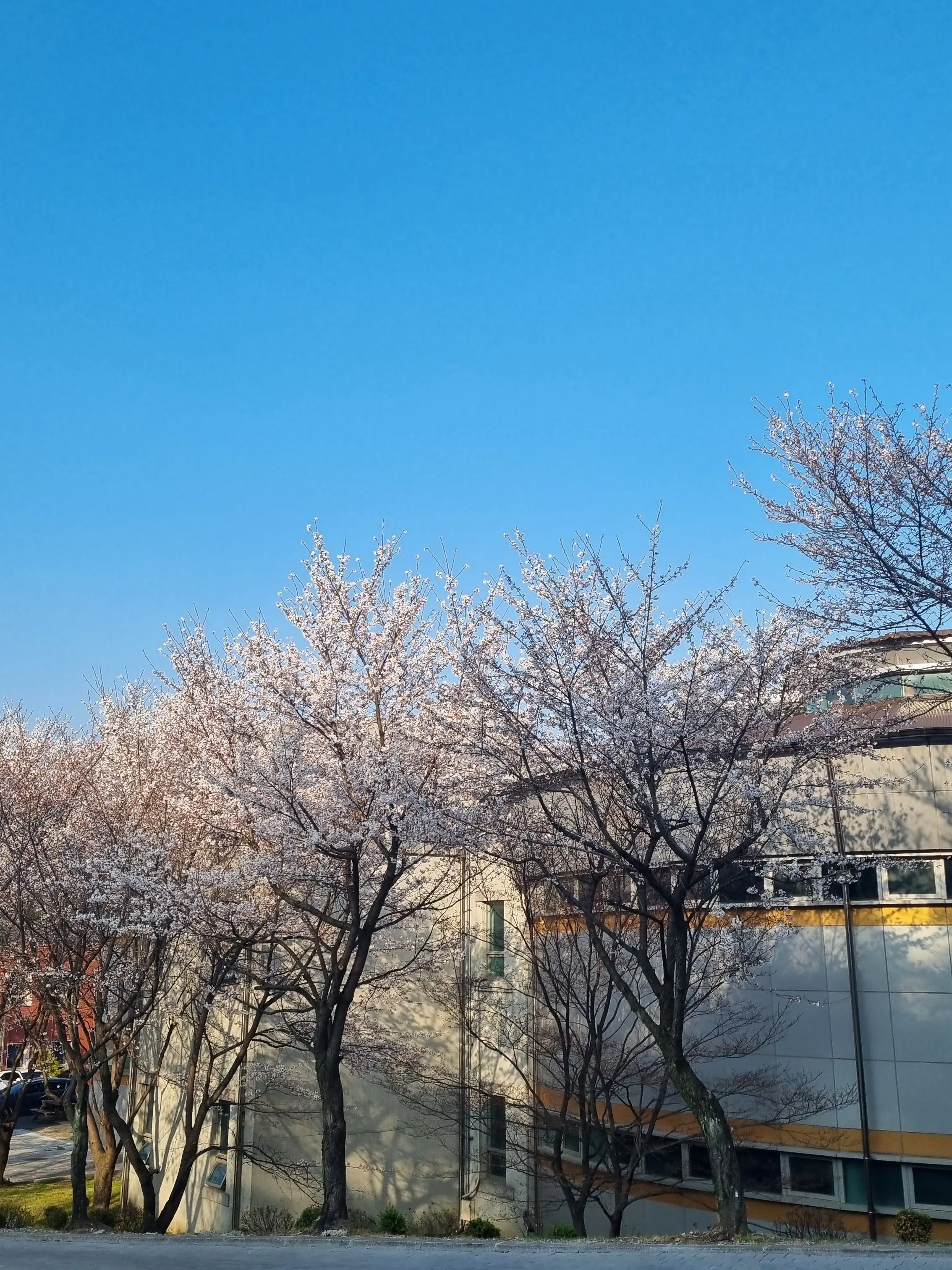 CoralRelax4421의 밀그램 정신병원