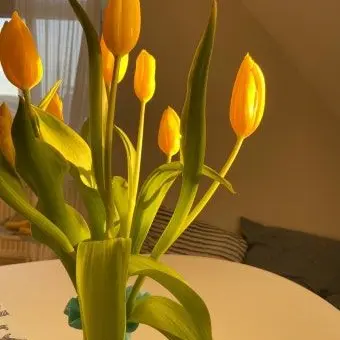 luckk의 김각별 ⭐