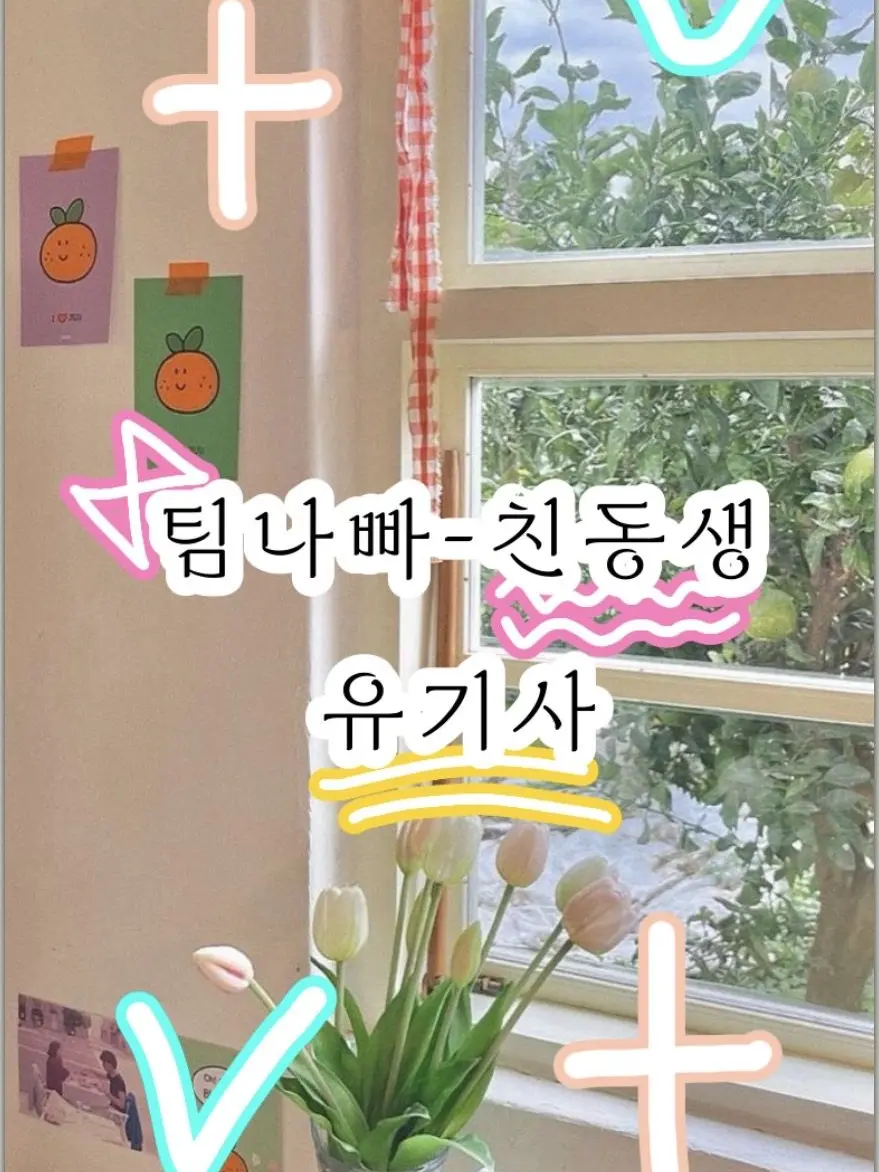 QuickLung6950의 팀나빠-친동생 유기사
