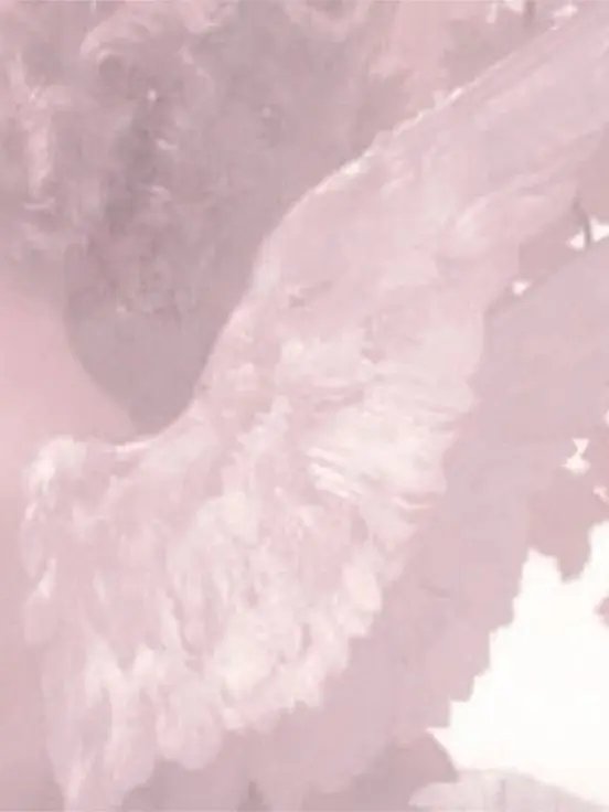 BroadLily3962의 ─