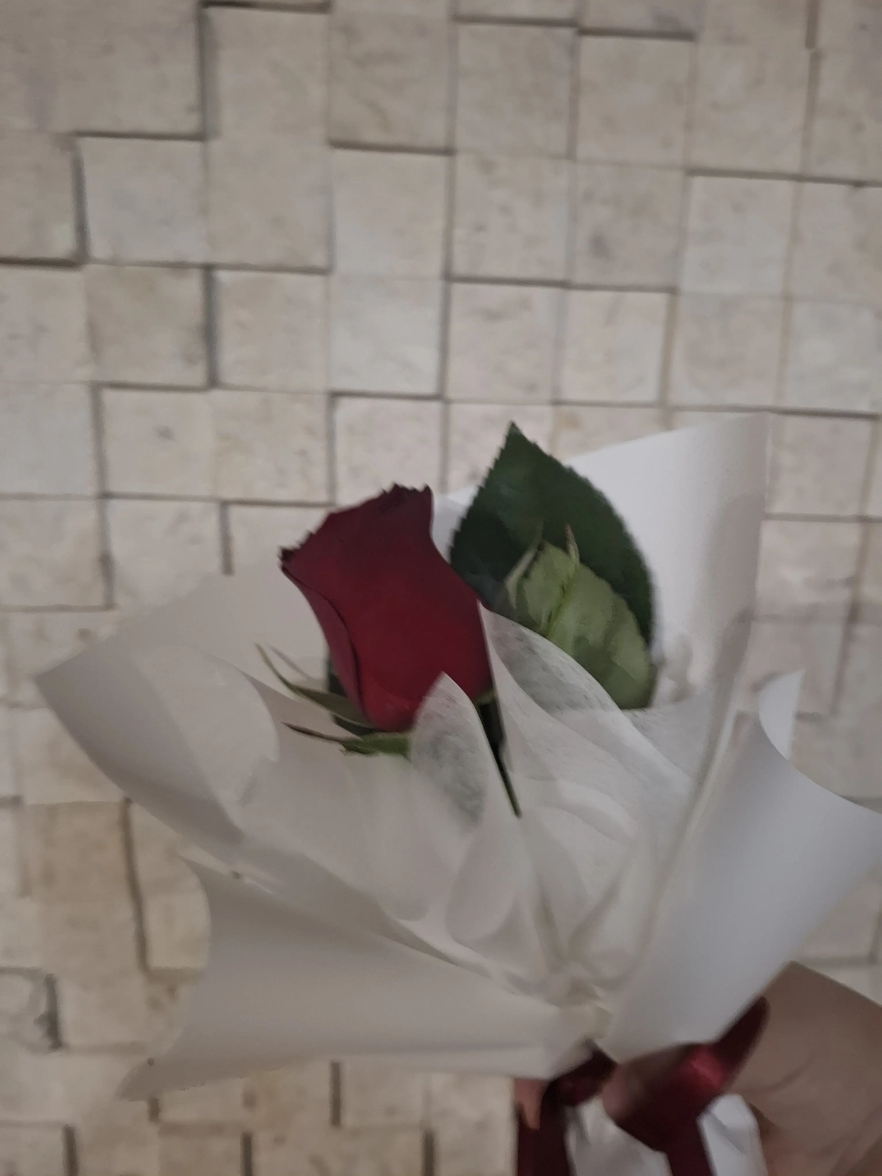 l_want_to_go_home의 アイドルデビュー組で修羅場？！