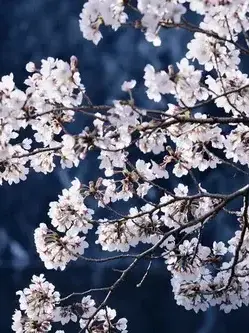 M.flower의 きみは愛に飢えた怪物だ