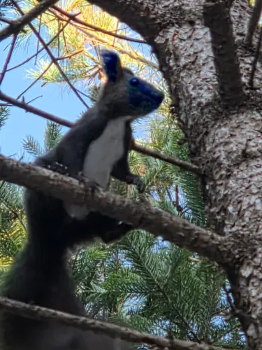 WornToken5313의 편의점 알바생 해보기