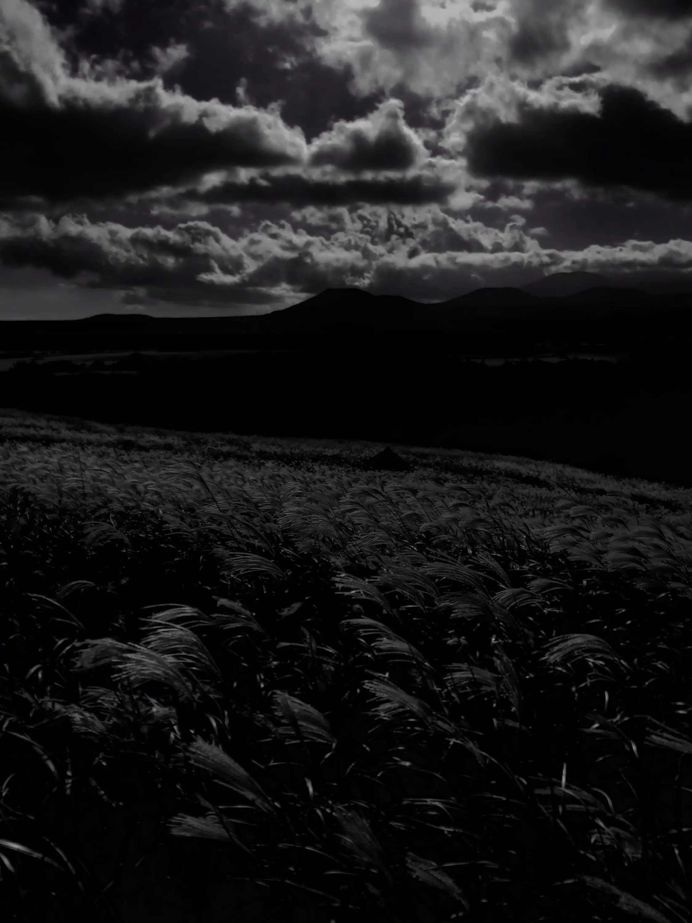 Redgaze065의 Litany for the Absen